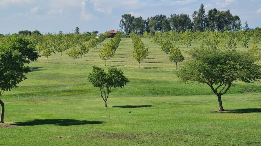 4 Bedroom Property for Sale in Oranjeville Free State